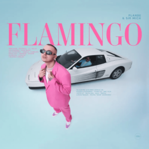 PlanBe Flamingo